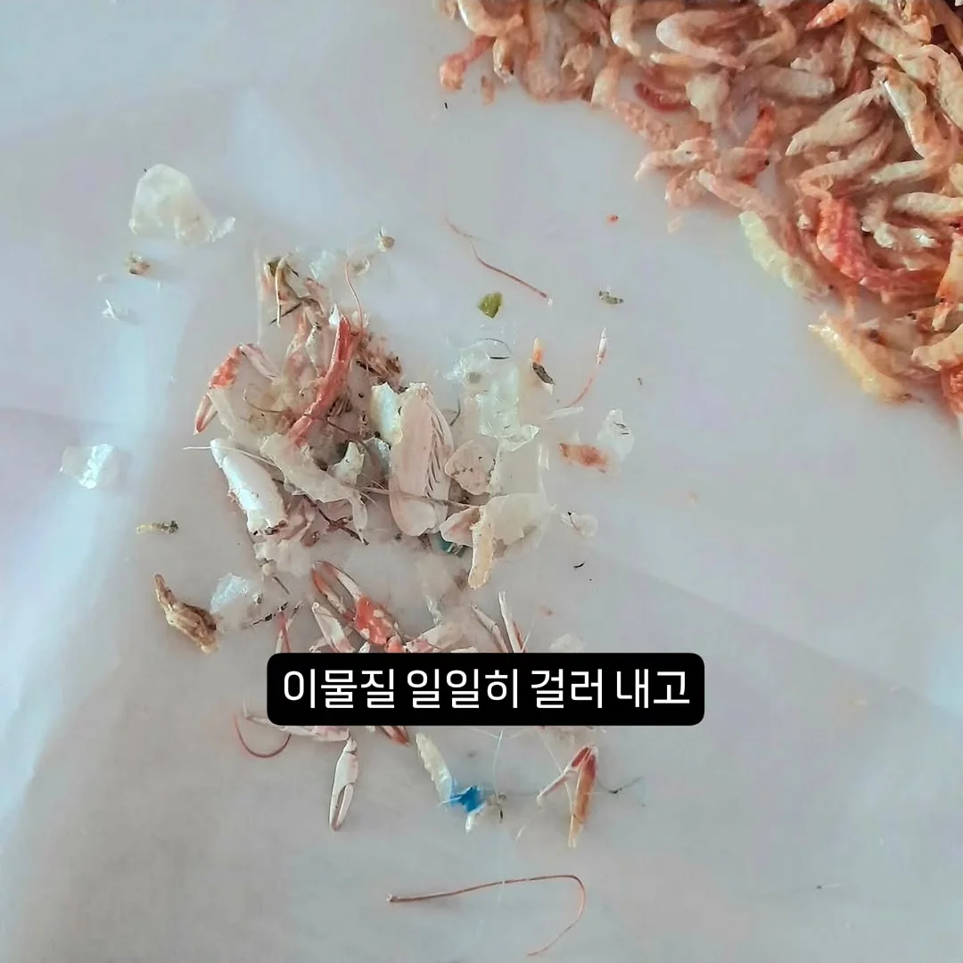 설렁탕 5