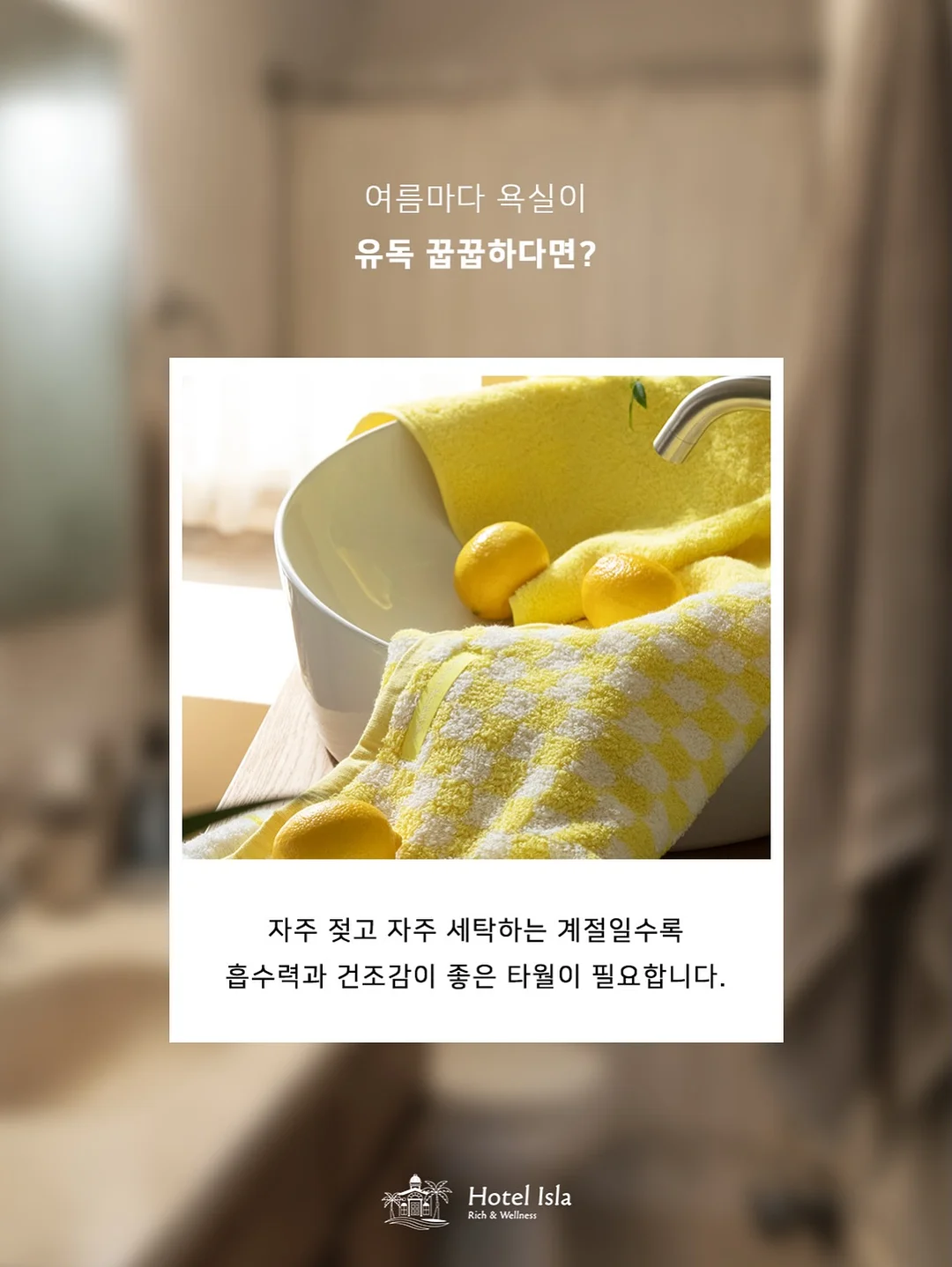 요거트 빵 3