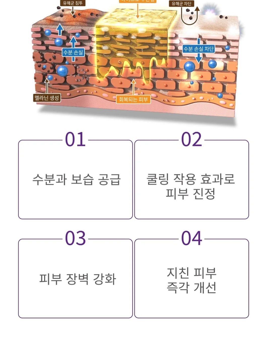 꽃바지 14