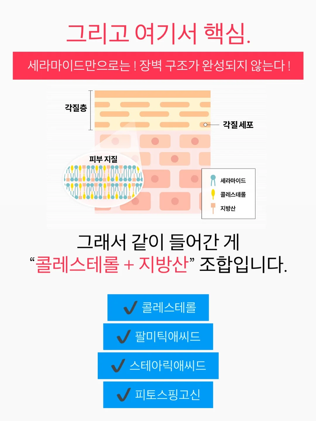 실리프랑 실리콘 찜기 12