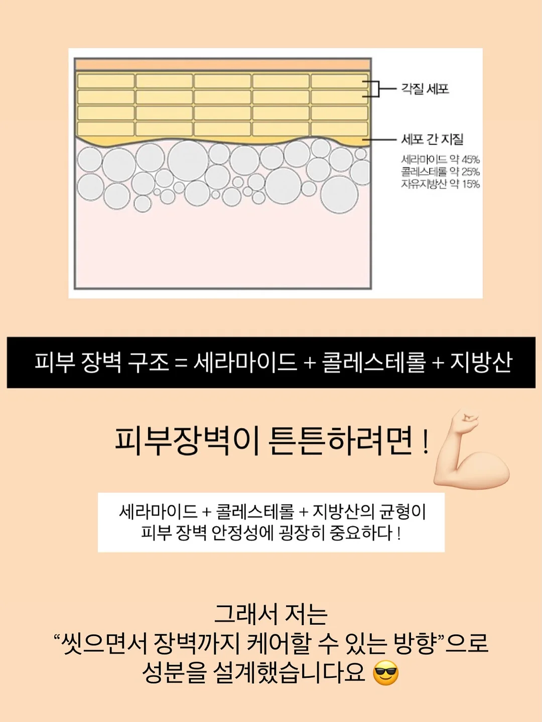 실리프랑 실리콘 찜기 13