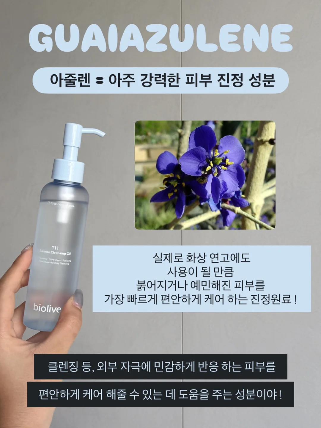 실리프랑 실리콘 찜기 15