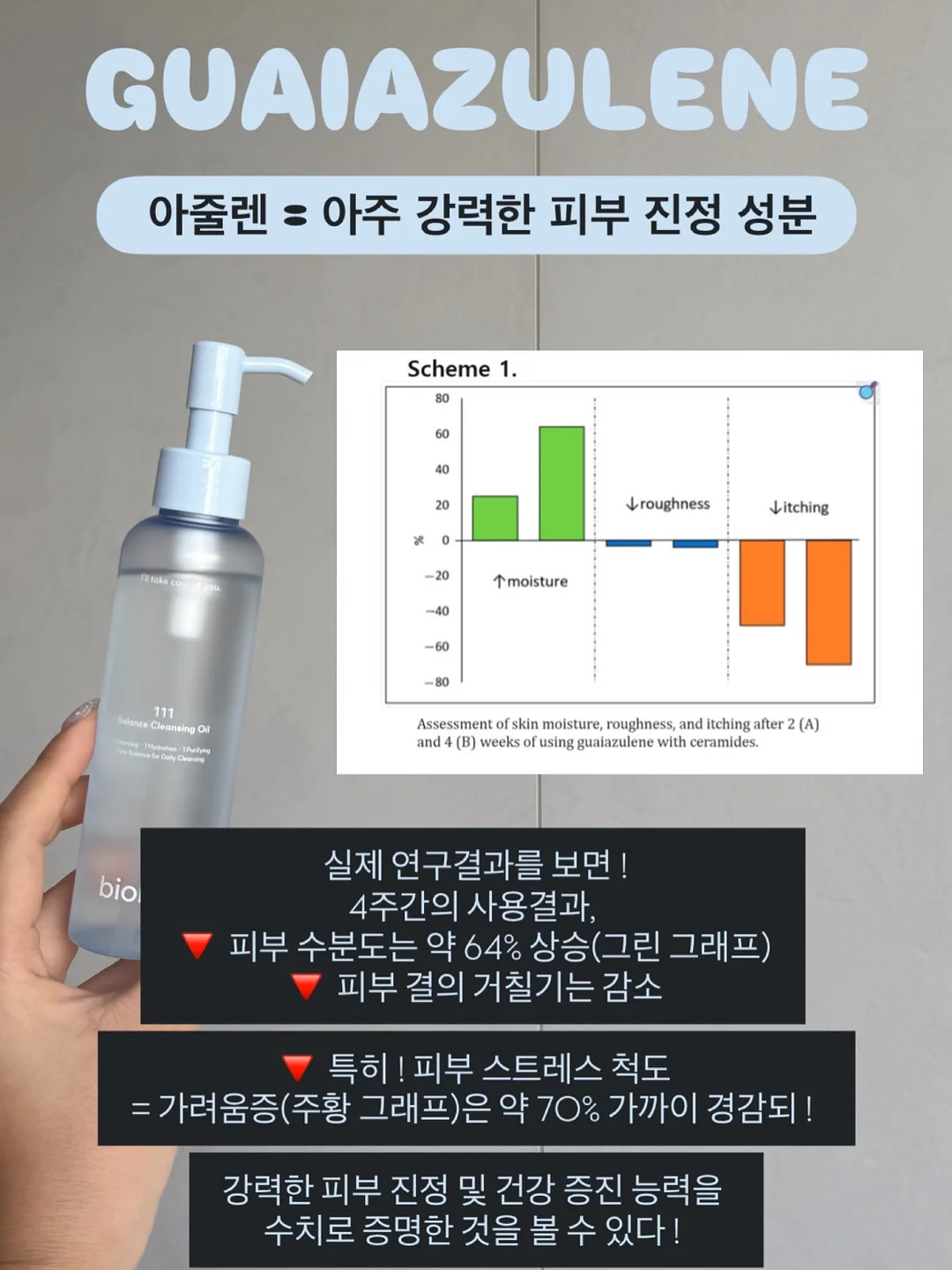 실리프랑 실리콘 찜기 16
