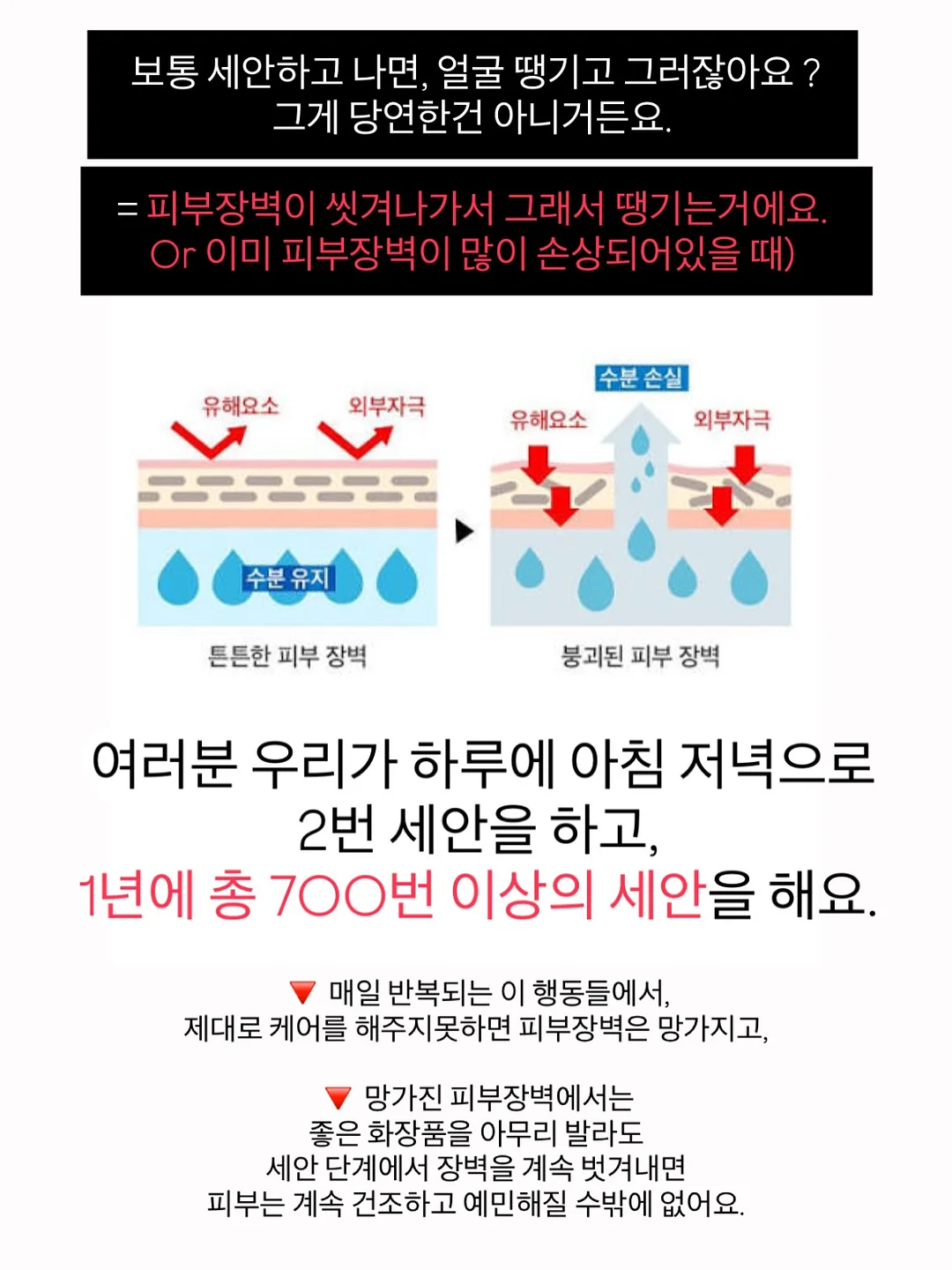 실리프랑 실리콘 찜기 6