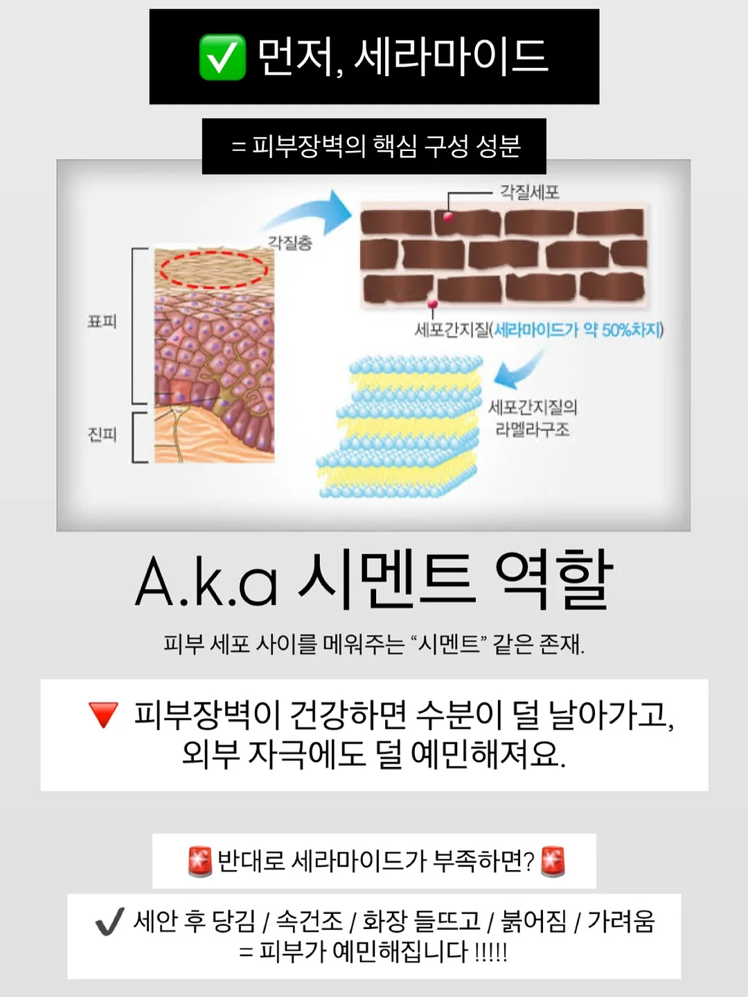 실리프랑 실리콘 찜기 10