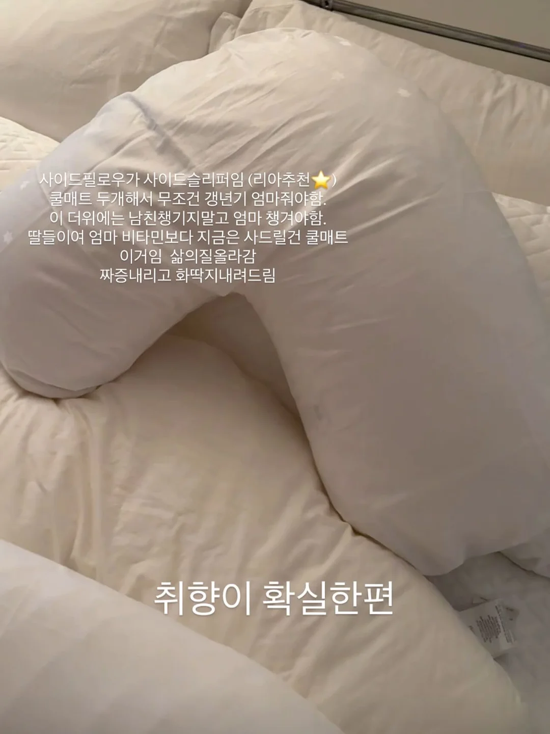 너를 미워했던 여름 11
