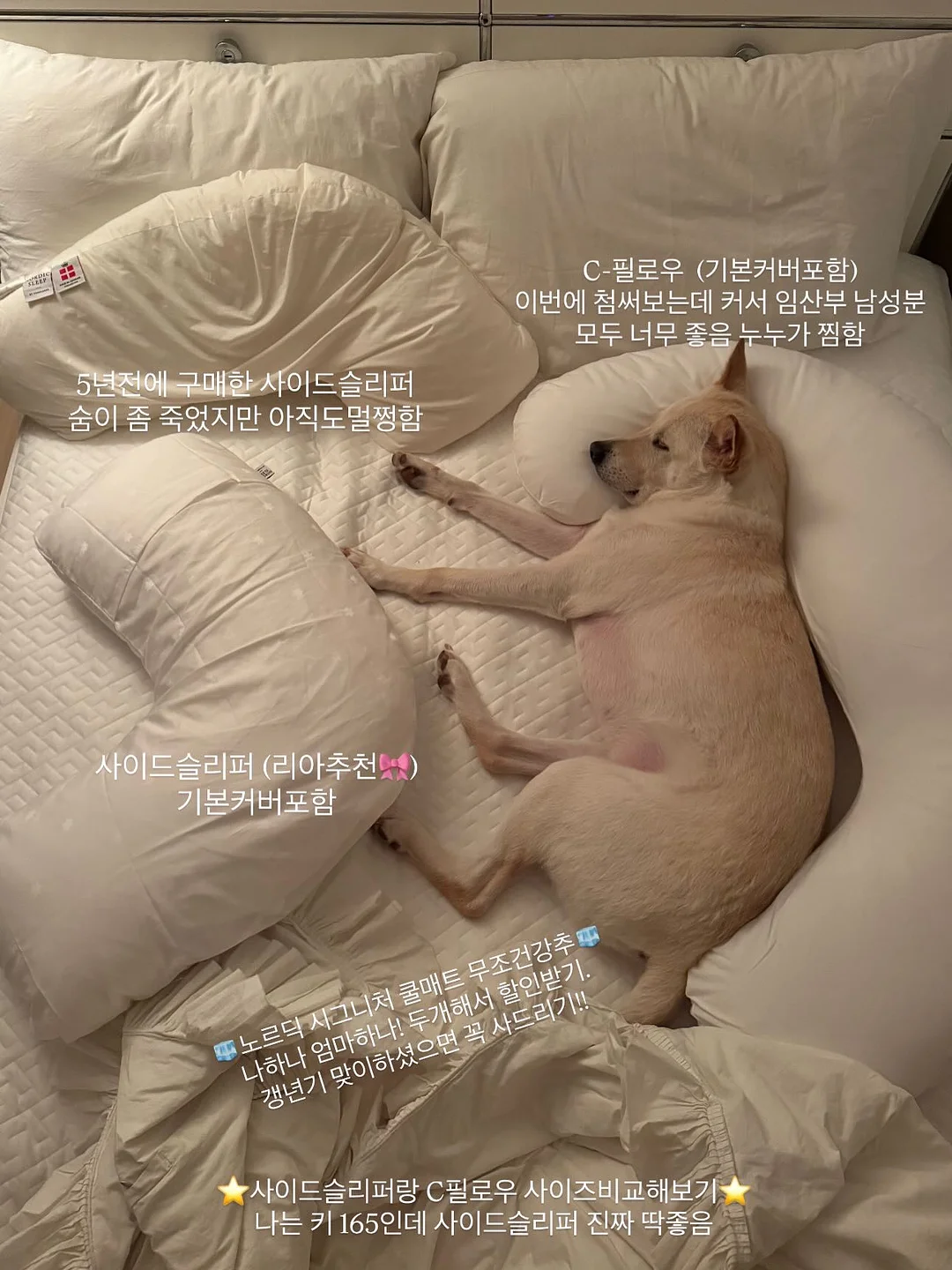 너를 미워했던 여름 18