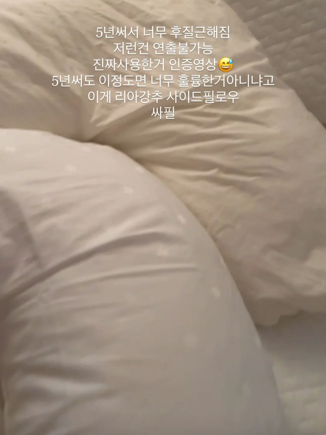 너를 미워했던 여름 7
