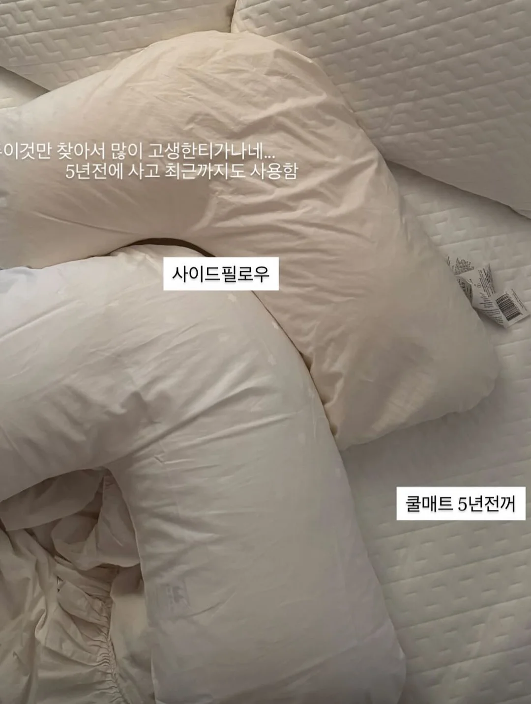 너를 미워했던 여름 8