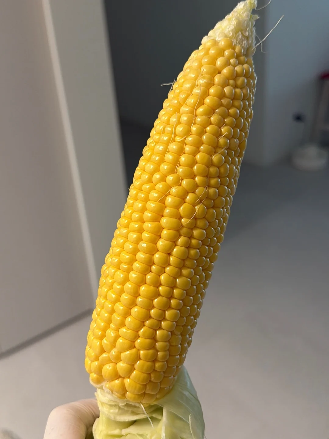 썬쉐이드 3
