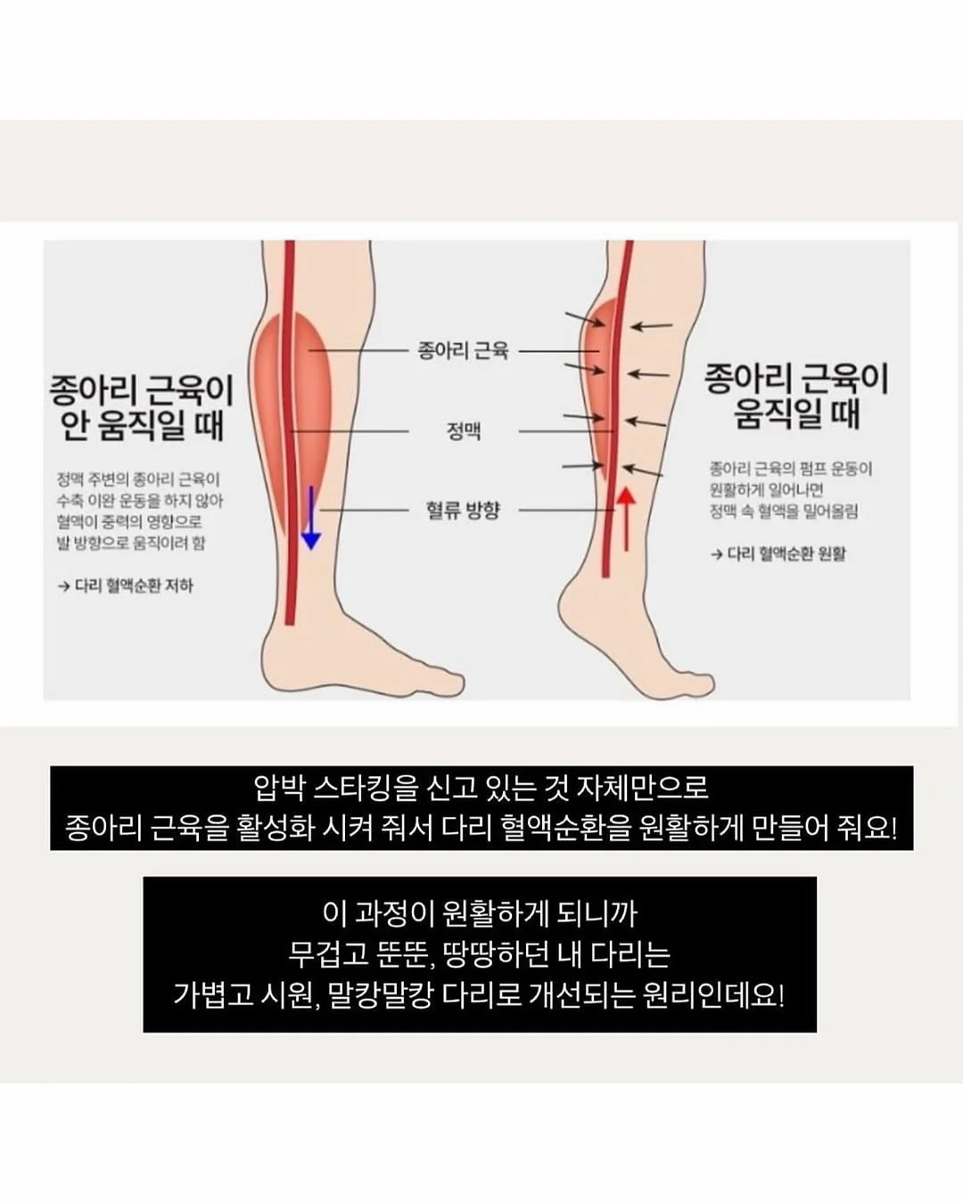 접착제 NO! 1초만에 뽑아쓰는 키친타올 11