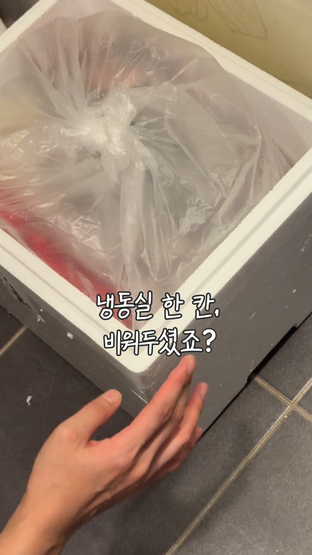 당일케이크