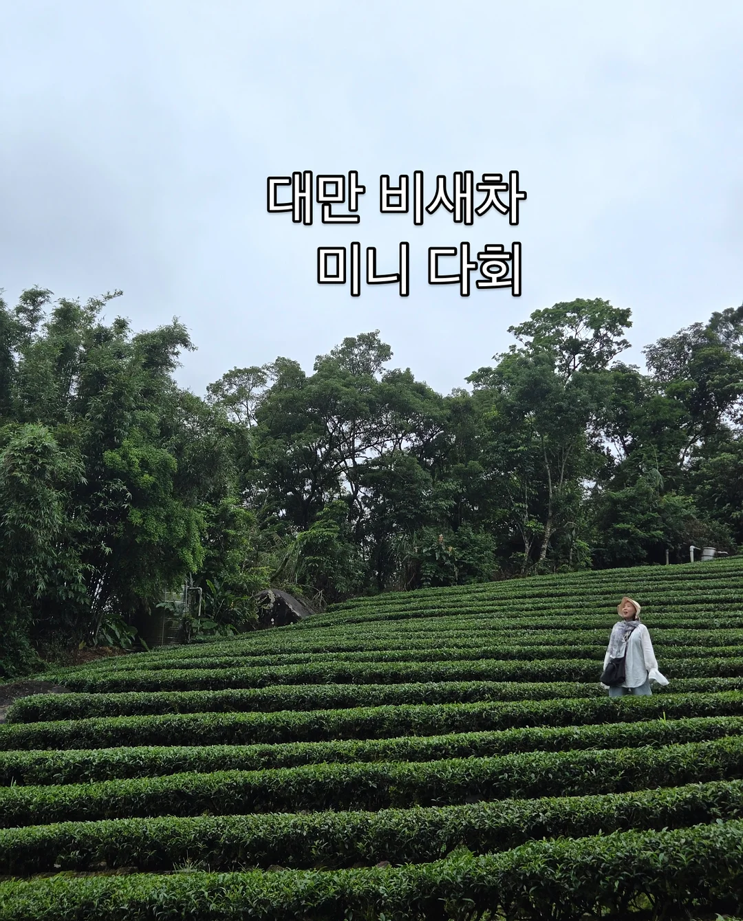 여름 원피스 2