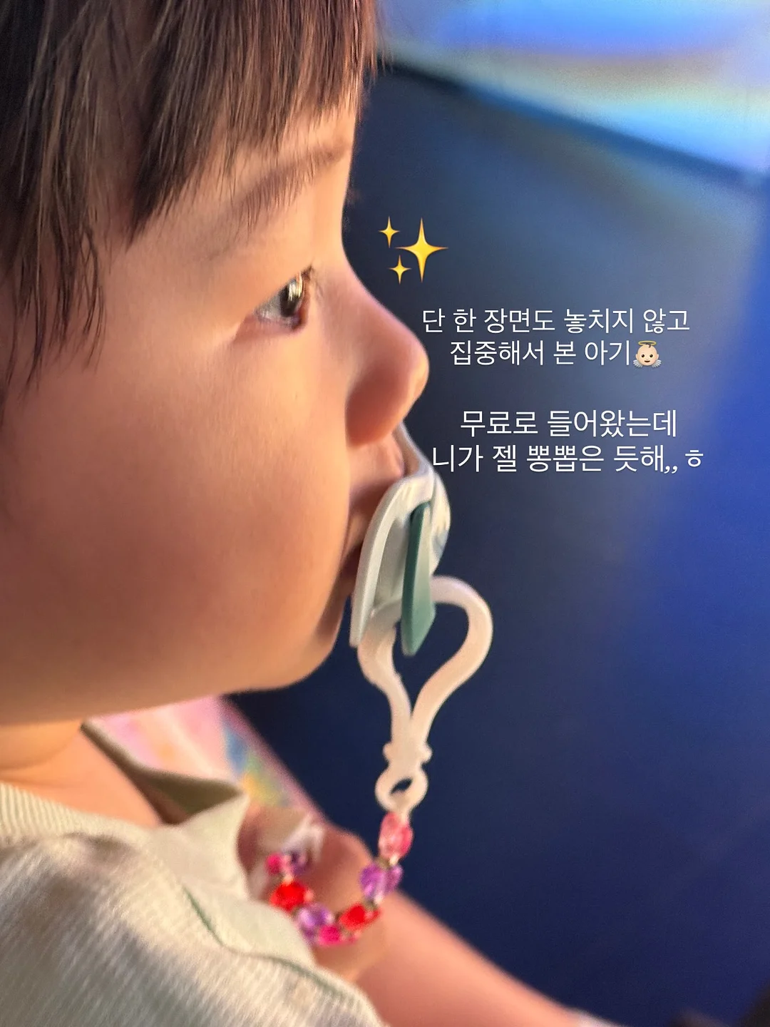 냉동고기 빠른 해동기 14