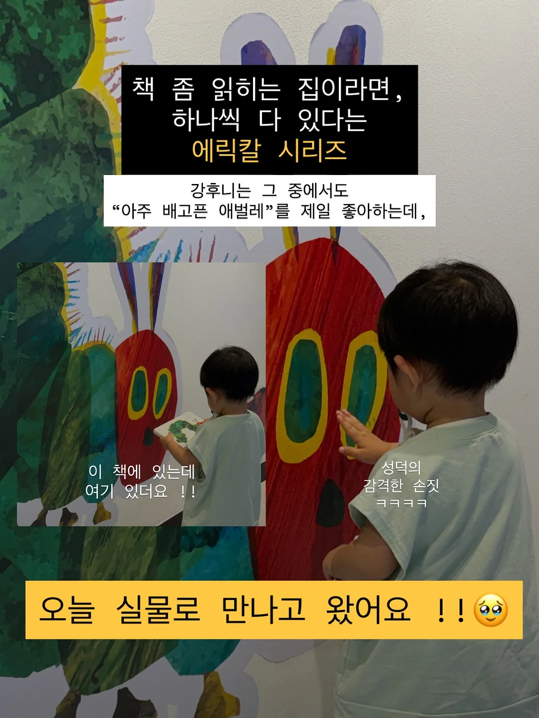 냉동고기 빠른 해동기 2