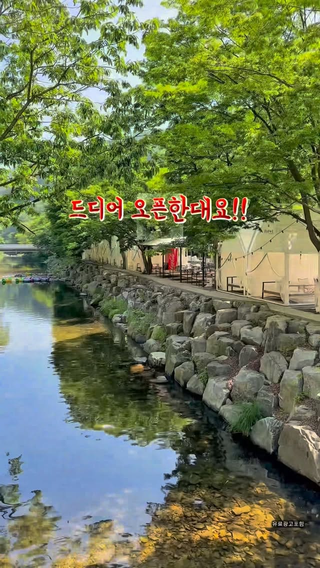 디노 전자책