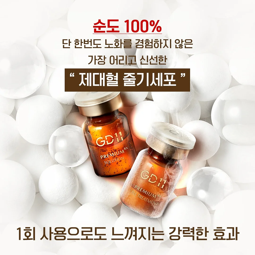 공주 별빛만찬 2