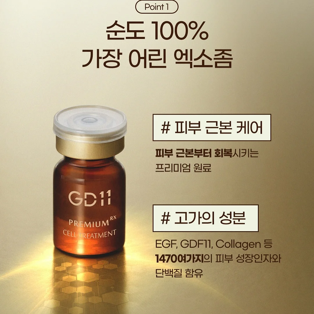 공주 별빛만찬 4