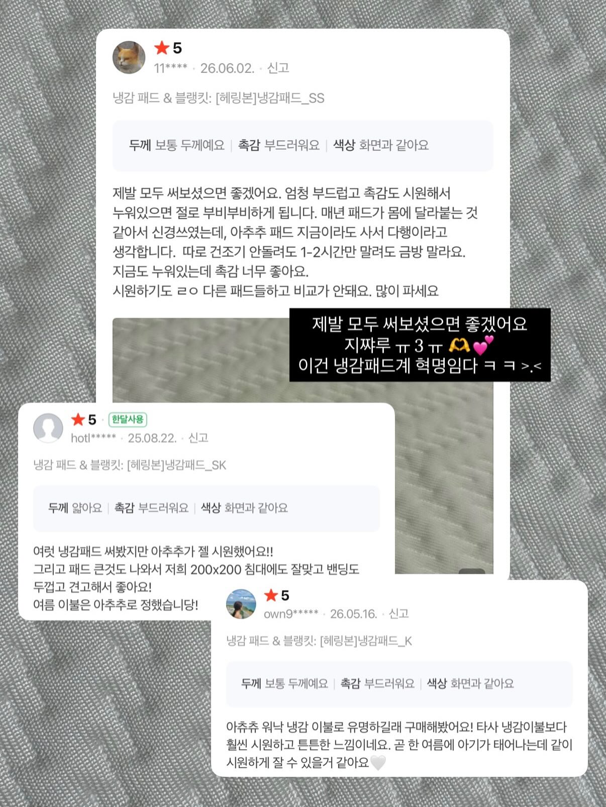 고양이 장난감 13