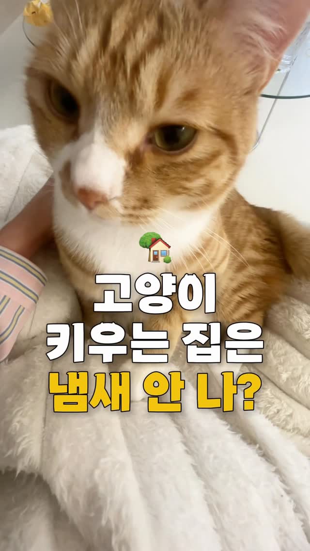 LG 사운드스위트