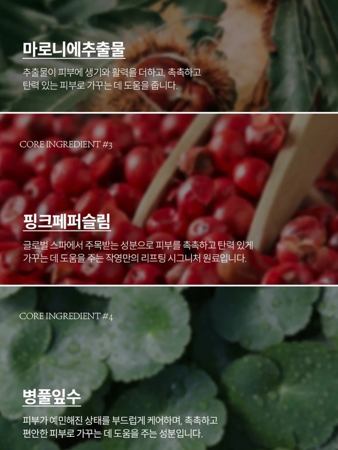 UV 살균기 16