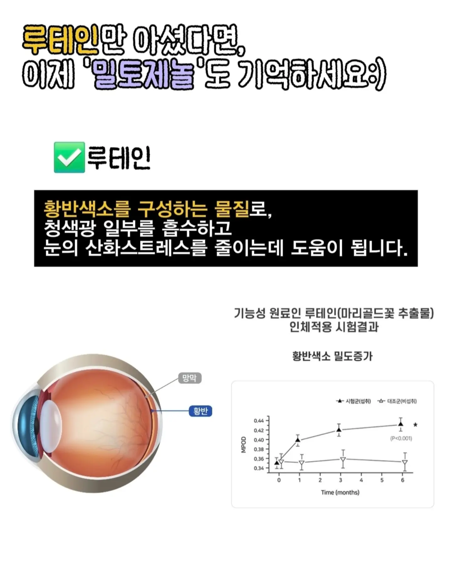 자동 계란후라이 기계 3