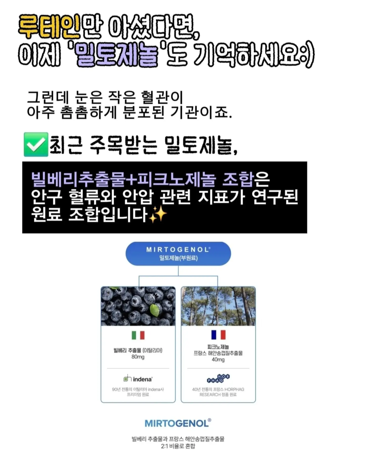 자동 계란후라이 기계 4