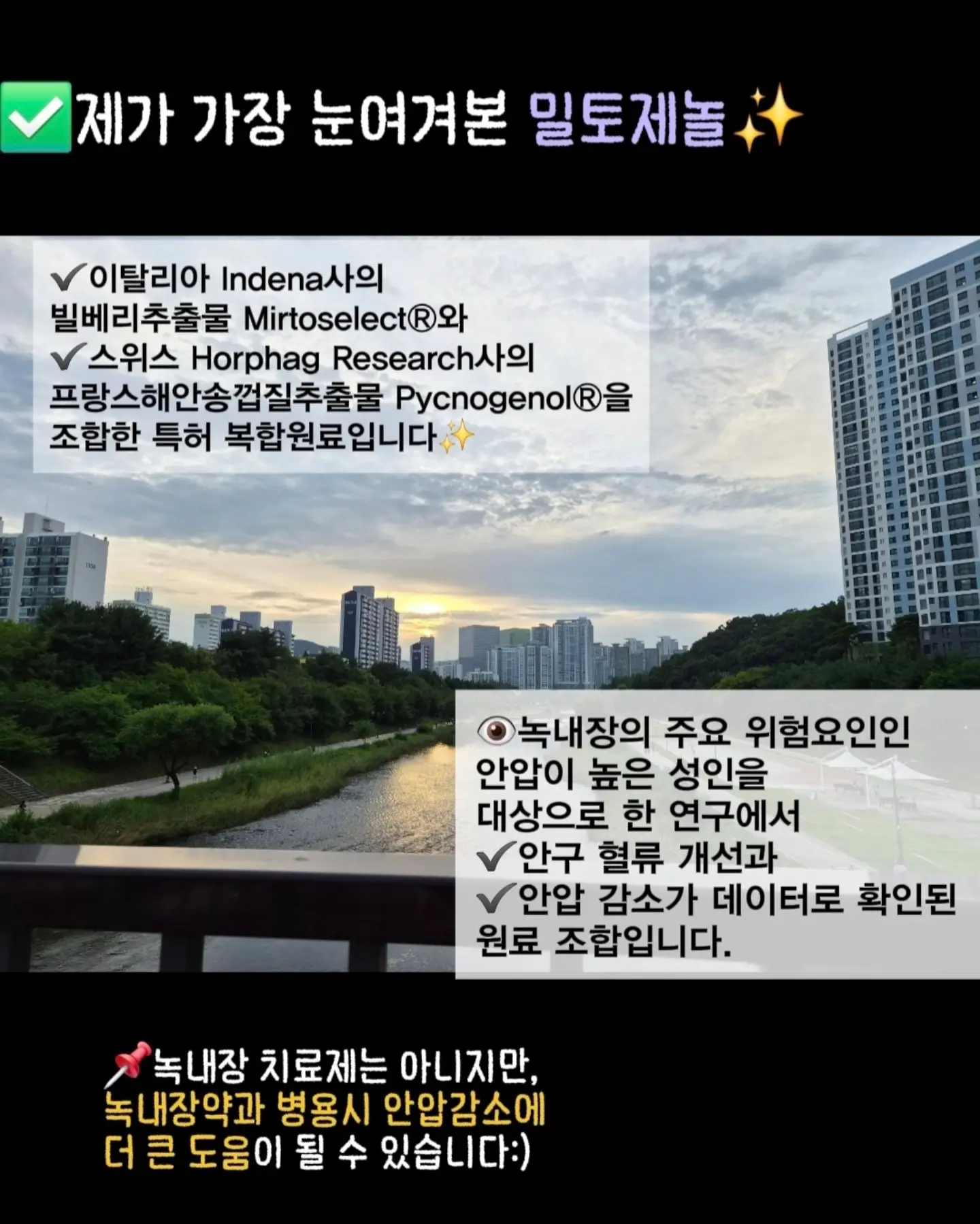 자동 계란후라이 기계 9