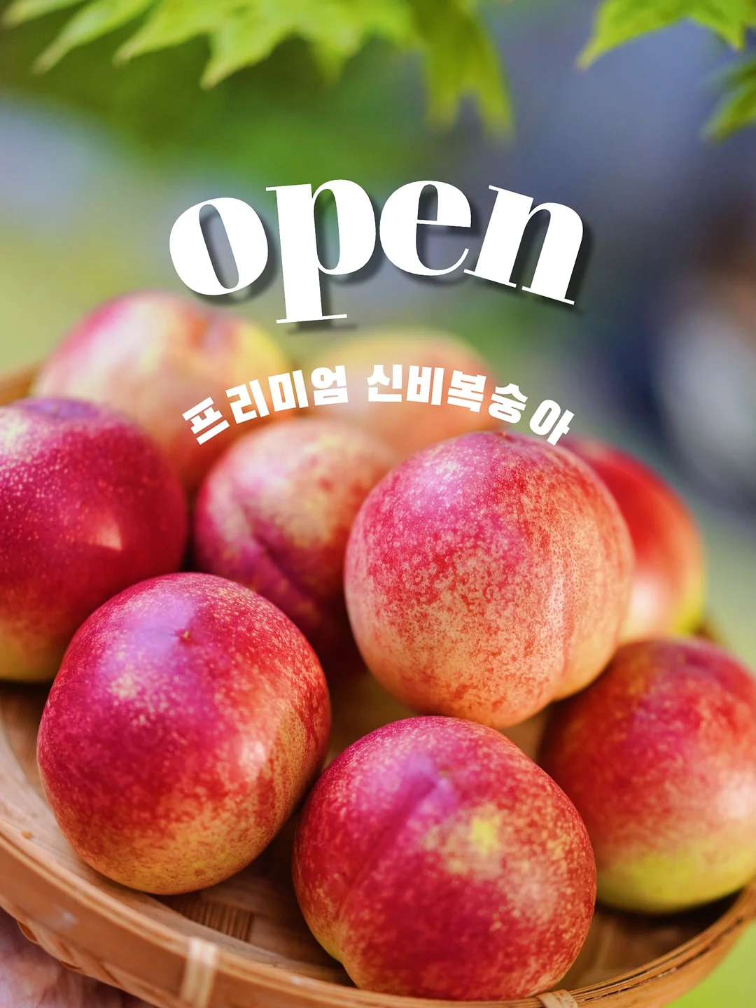태아보험 7