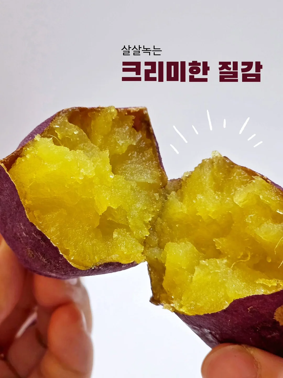 그릭 요거트 유청분리기 2