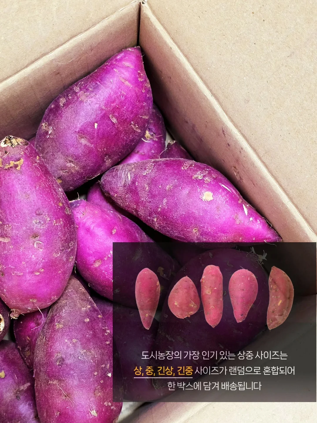 그릭 요거트 유청분리기 8