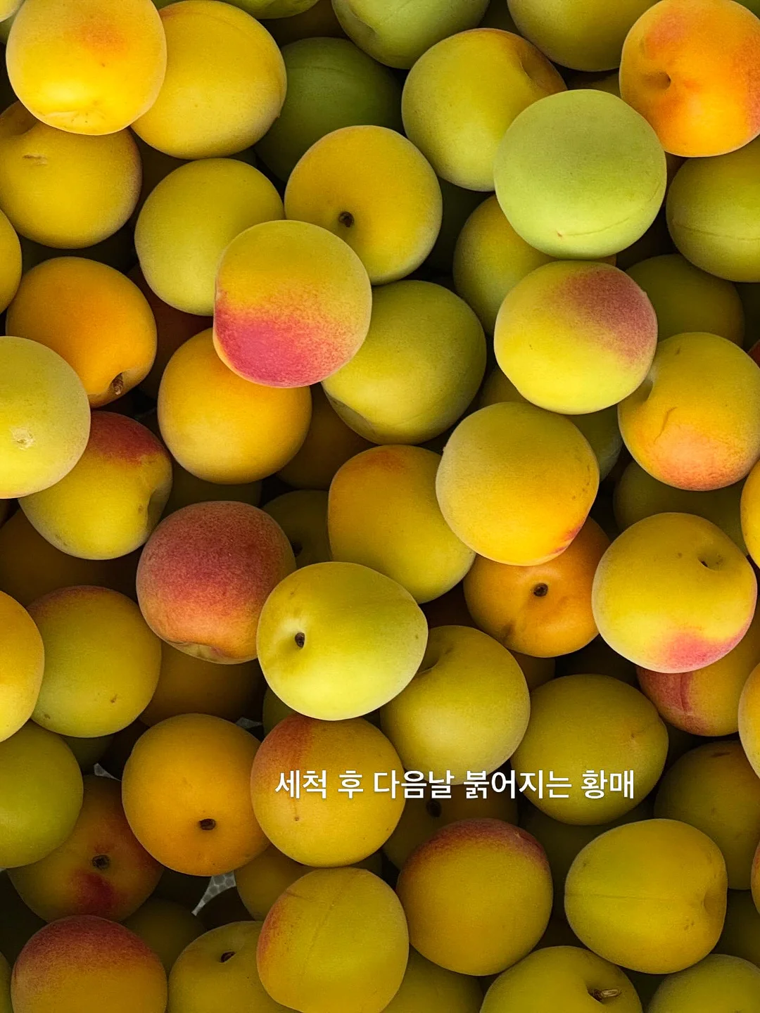오드삭스 2
