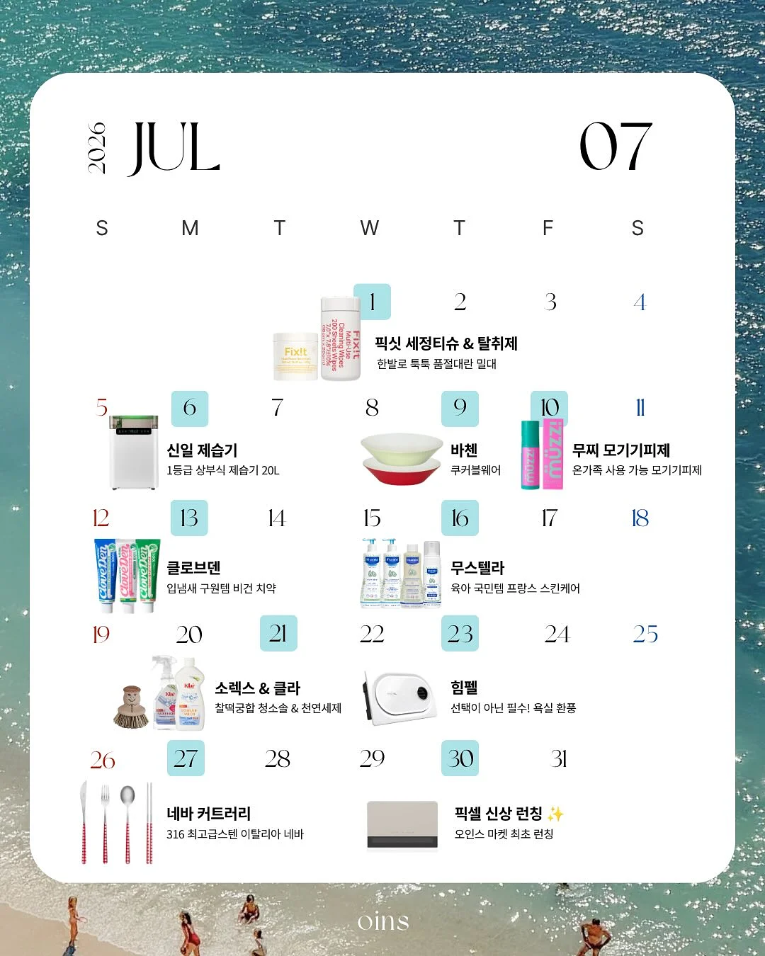 눈꽃 차전자피 인플쏙 1