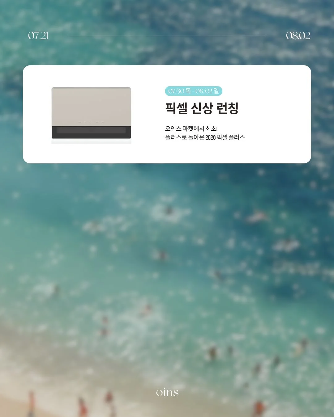 눈꽃 차전자피 인플쏙 5