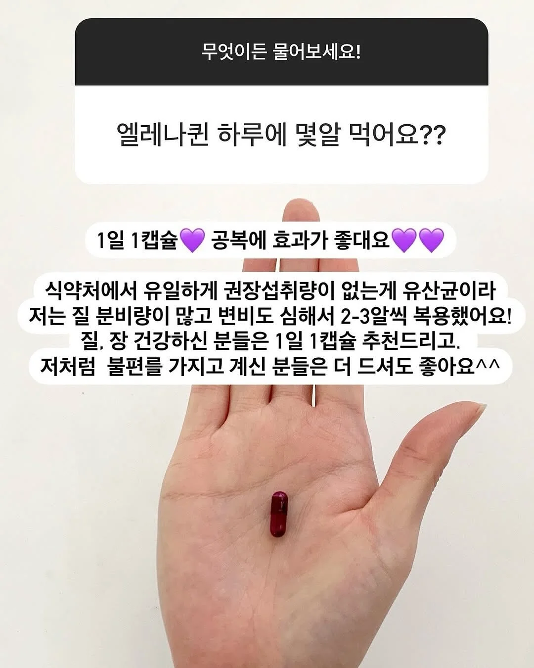 트라우저 10