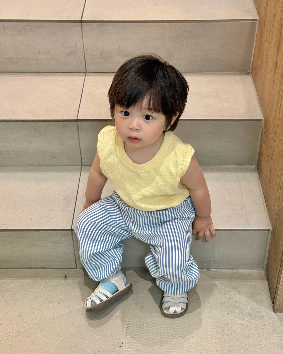 지비츠 1