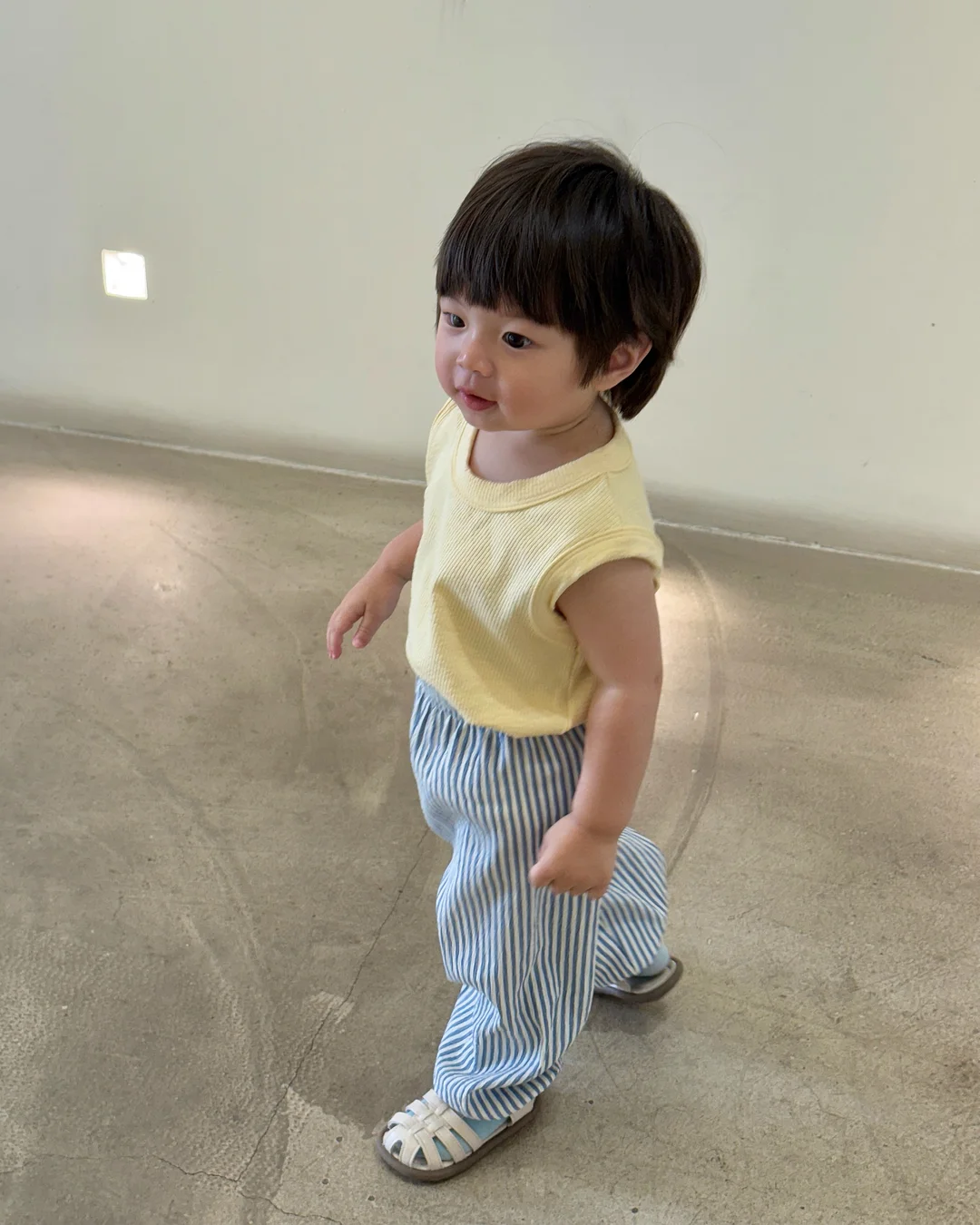 지비츠 14