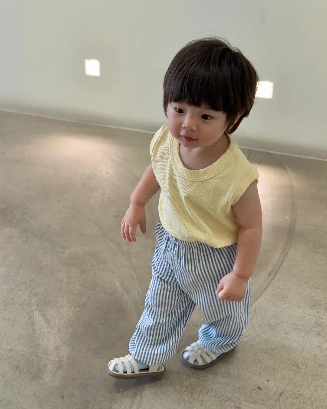 지비츠 15