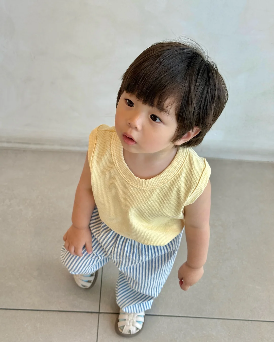 지비츠 17
