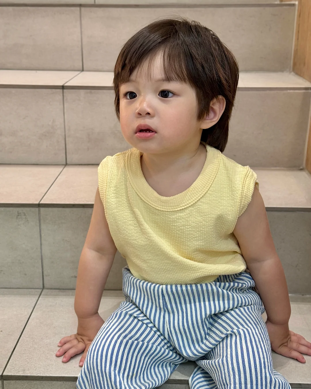 지비츠 19