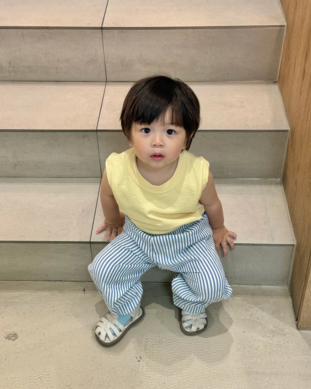 지비츠 2