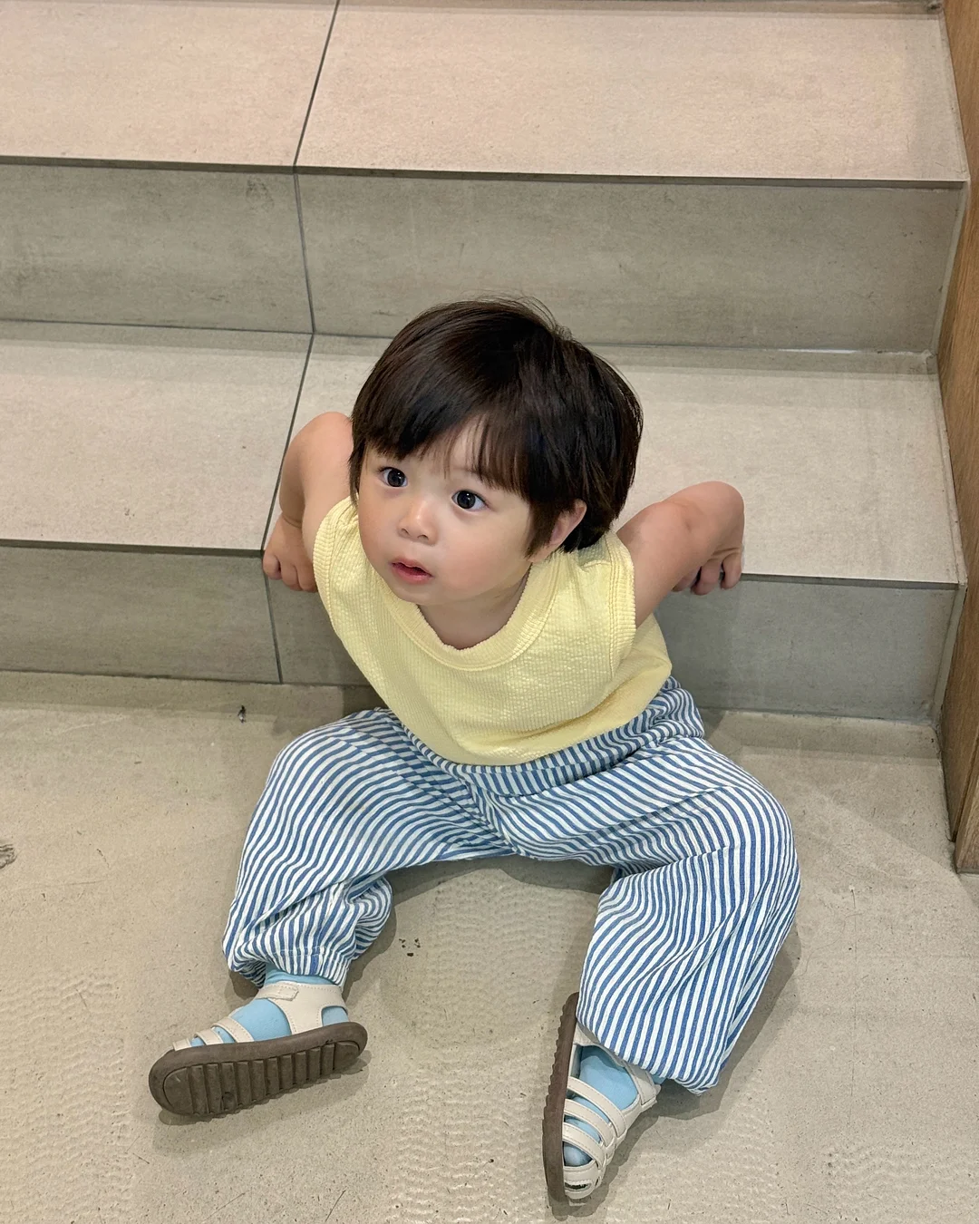 지비츠 3