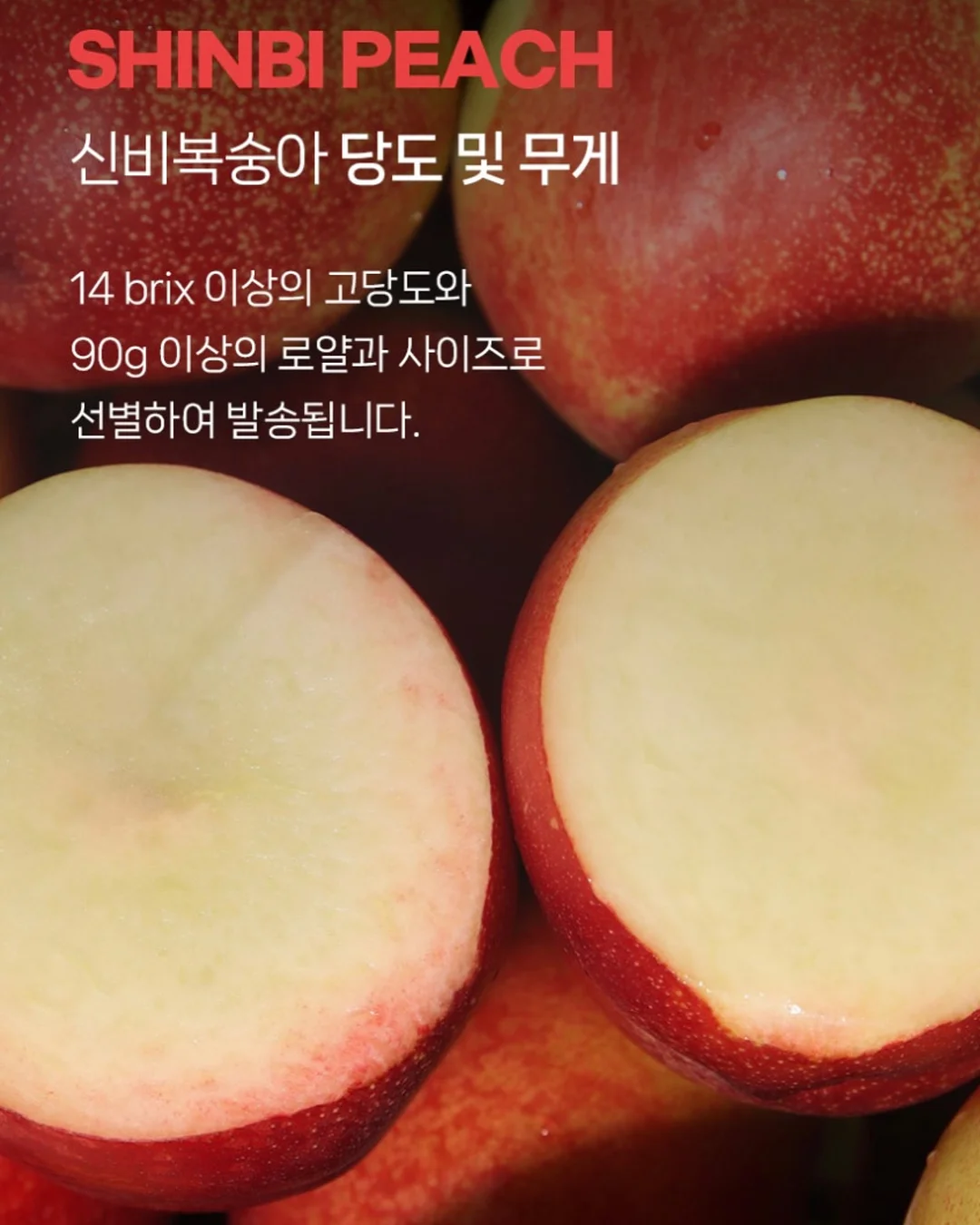 구스 패브릭 4인용 소파 9