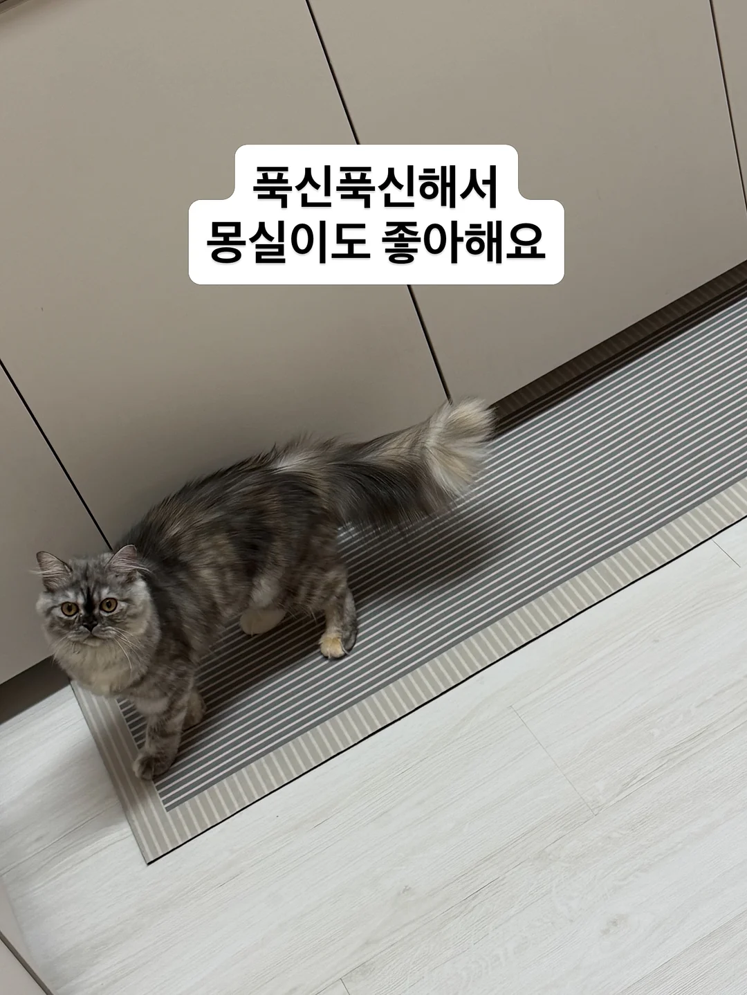 노피 미니후드 7