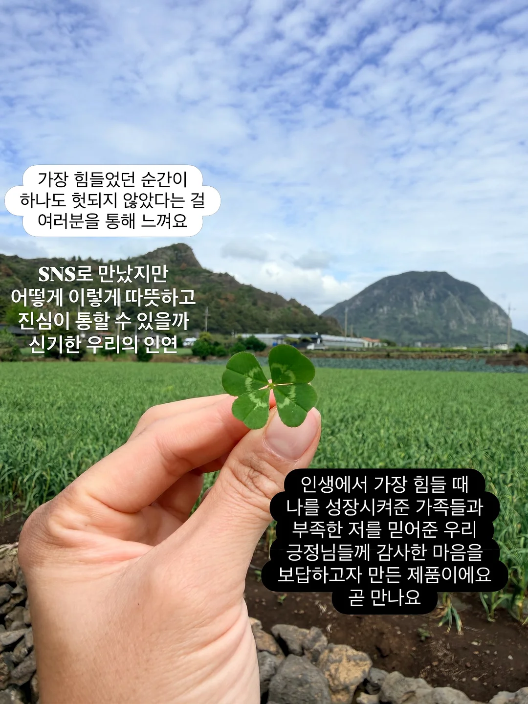 IMZU 패밀리 시크릿 링크 14