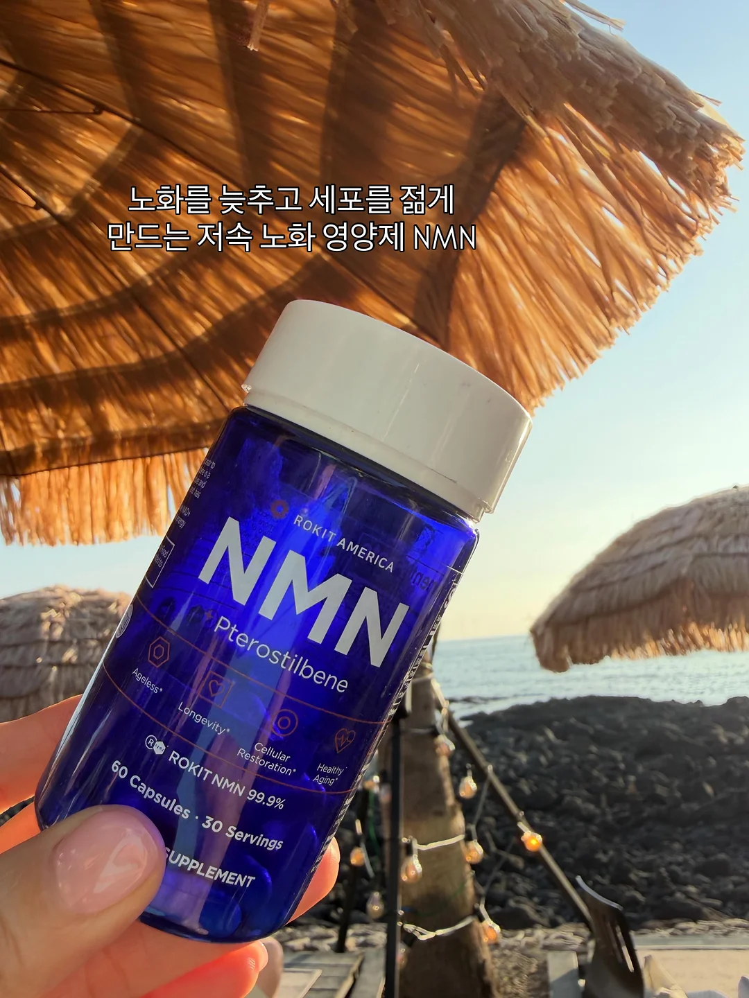 반려인의 하루 1