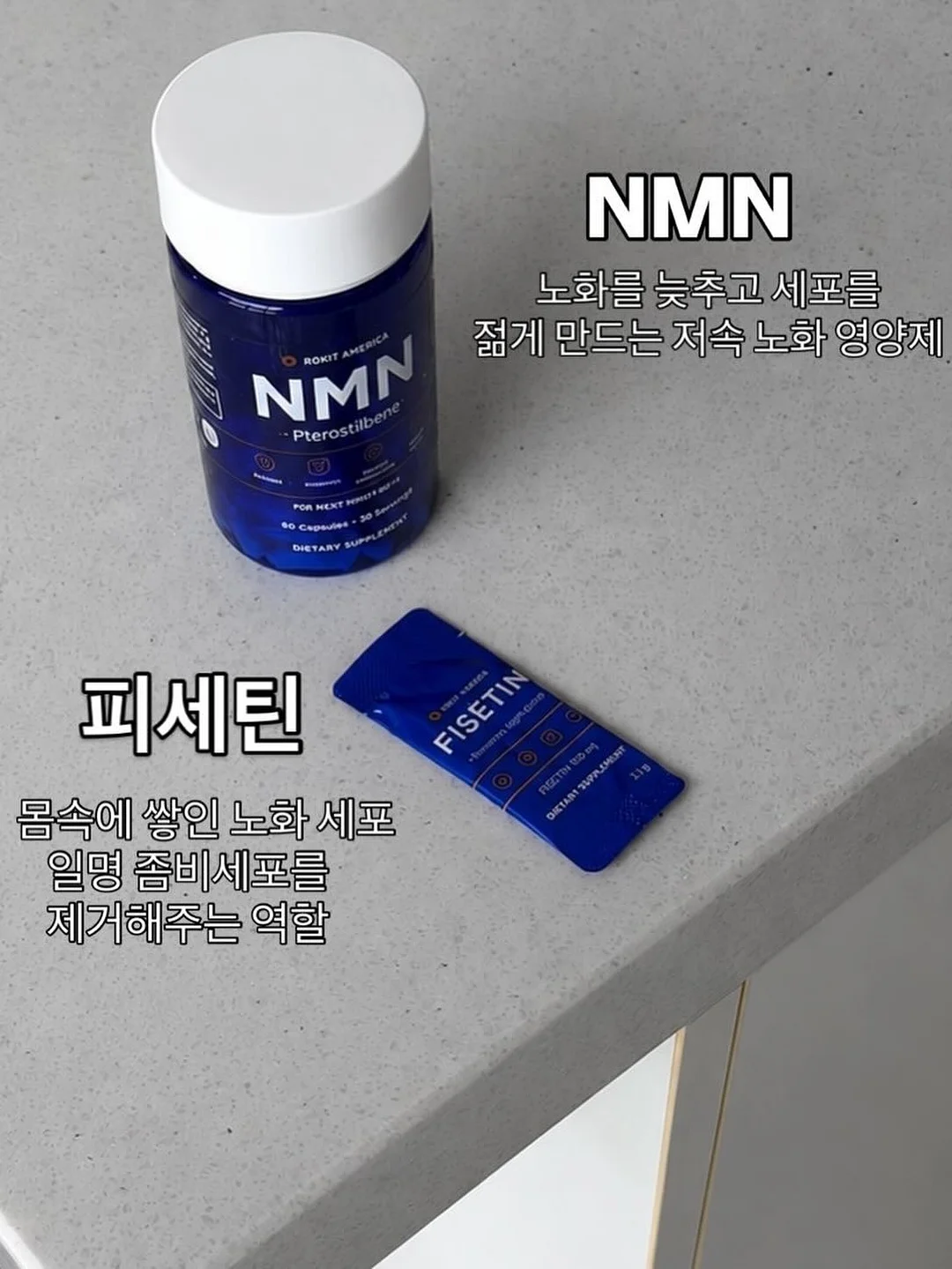 반려인의 하루 3