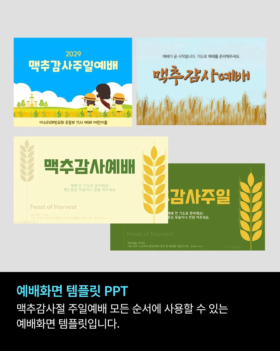 초등 국어 문해력 5