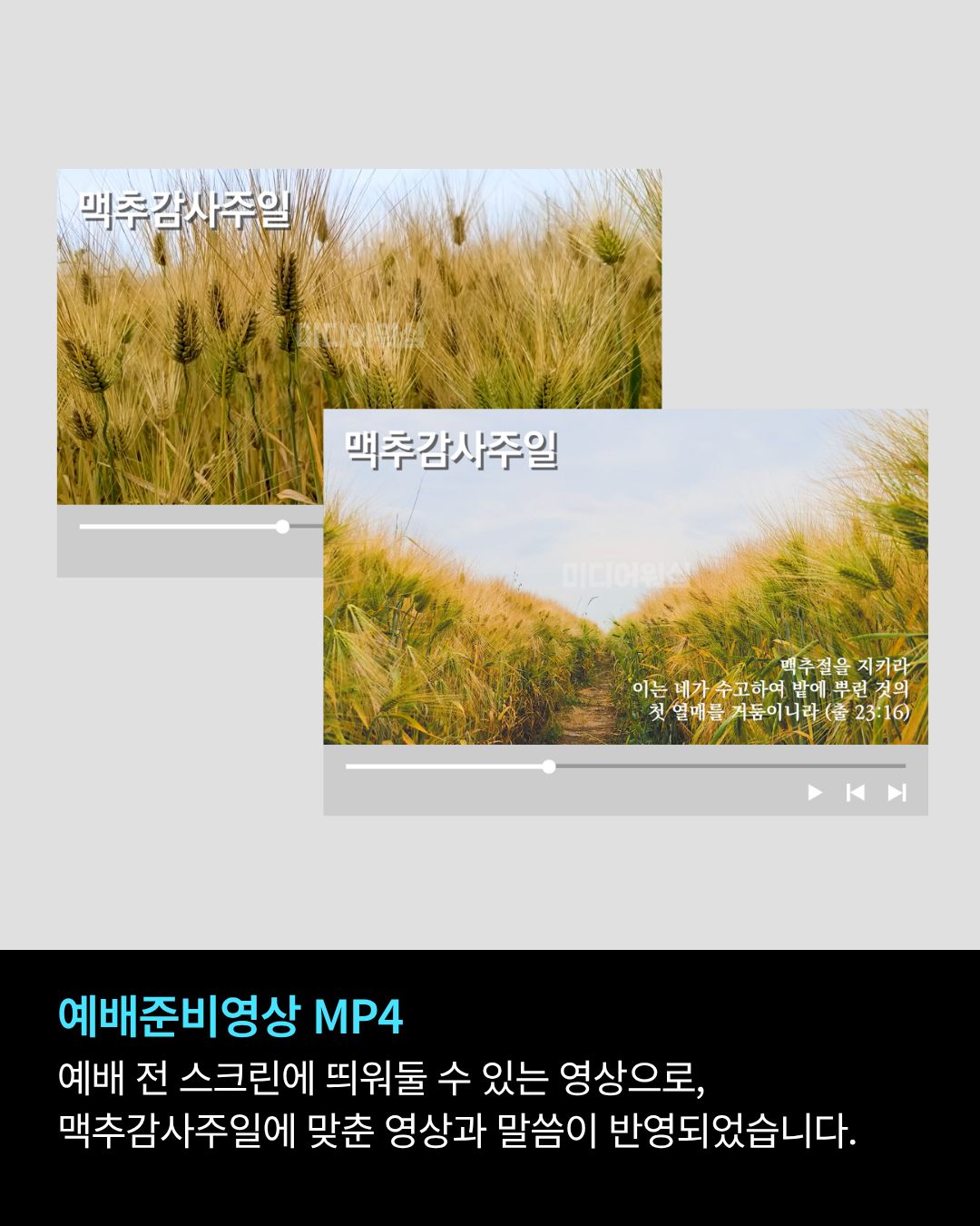 초등 국어 문해력 6