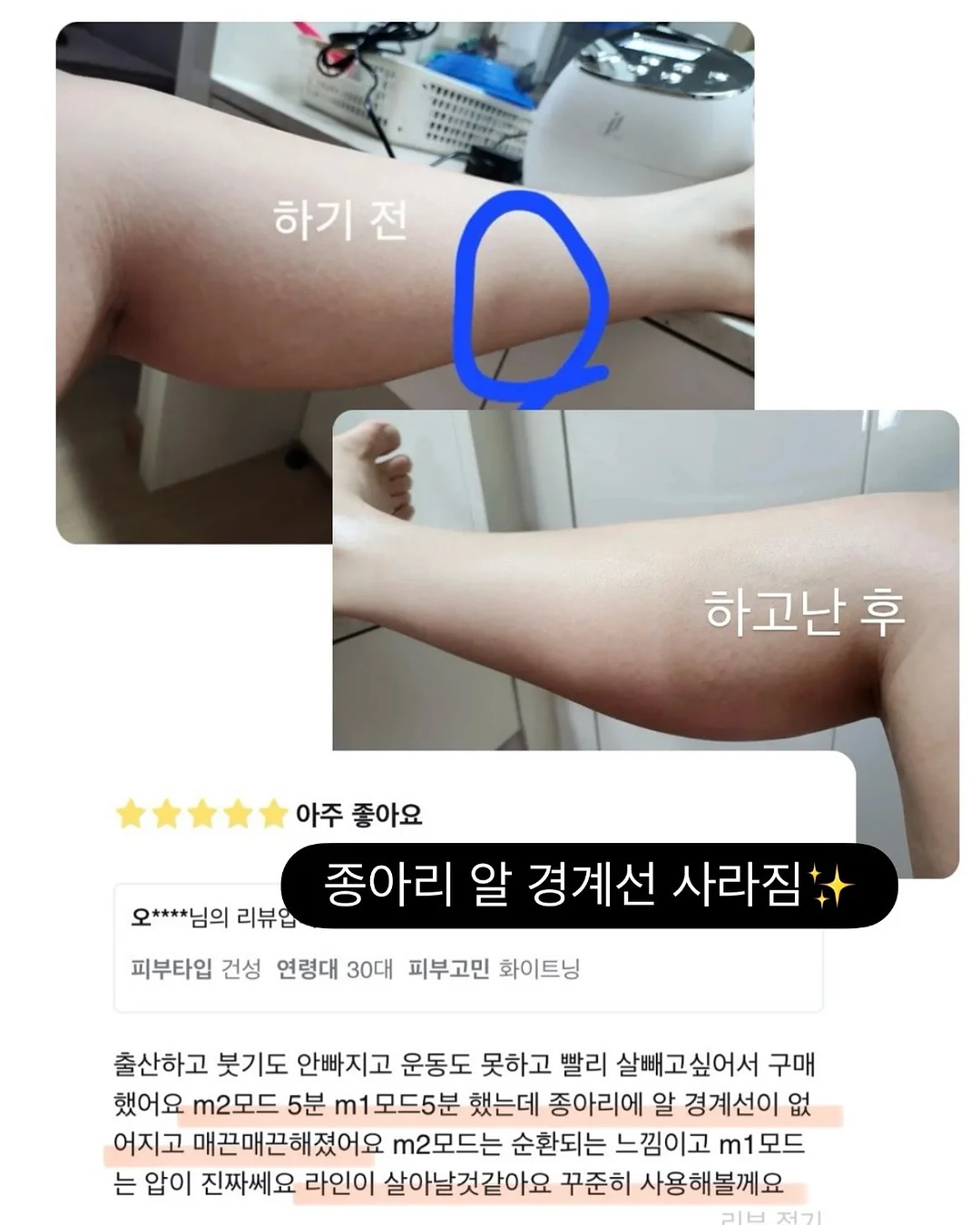 에델바이스 오이스터 컬렉션 접시 19